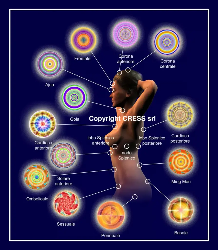 I 14 Chakra Principali secondo la T.E.V.