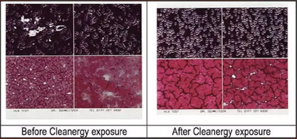 Cleanergy - effetti sul sangue umano